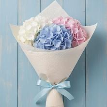 Букет цветов из:  Гортензия #REPLACE_PRED# Средней Елюзани