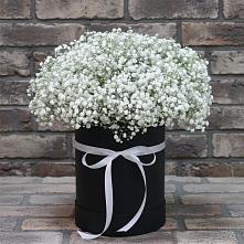 Цветочная композиция из Гипсофила в шляпной коробке #REPLACE_PRED# Средней Елюзани