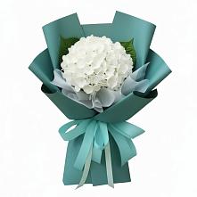 Букет цветов из:  Гортензия #REPLACE_PRED# Средней Елюзани